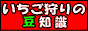 いちごの豆知識