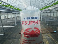 カニ殻