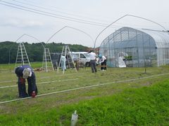 ハウス工事着工初日の様子
