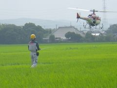 ［写真］ラジコンヘリを操作しているところ