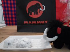 mʐ^nMAMMUTi}[gj}XRbg̃}XƖ؍XÁEODƂ̓啟