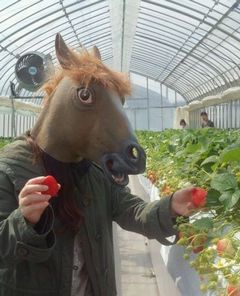 mʐ^nn񂪃C`SEłƂ