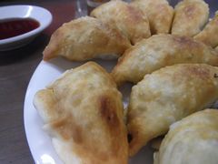 揚げ餃子 in 浜奈食堂