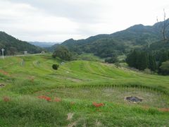 大山千枚田