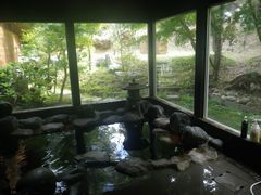 亀山温泉 湖水亭嵯峨和
