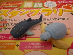 mʐ^nOAEgbgp[N؍XÁX^v[䎆̃NWƃJ̏S