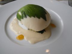 mʐ^nn̑t݁@xbg\[X