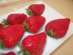 [いちごトレー]