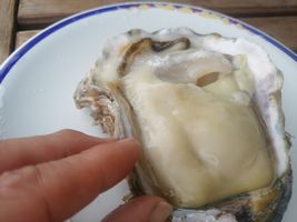 厚生水産の岩ガキ