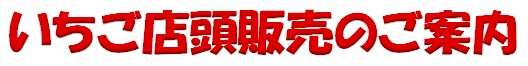 [ポレポレ農園　いちご店頭販売のご案内]