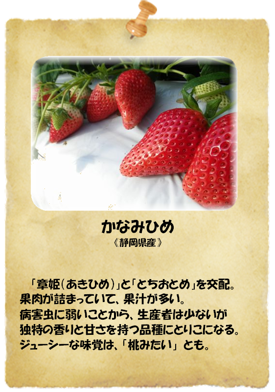 [写真/かなみひめ]