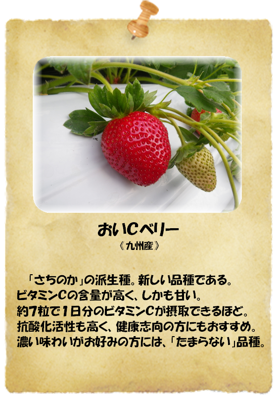 [写真/おいＣベリー]