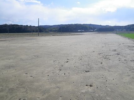 [ʐ^/2012N312_̔_̗lq]