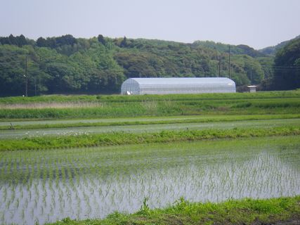[ʐ^/2012N57_̔_̗lq]