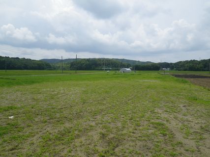 [ʐ^/2012N626_̔_̗lq]