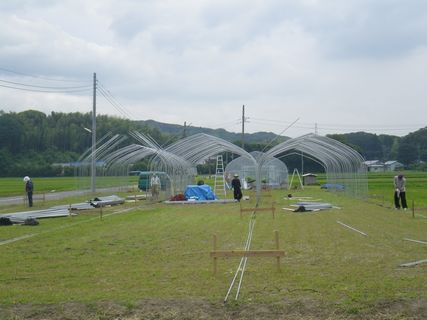 [ʐ^/2012N627_̔_̗lq]