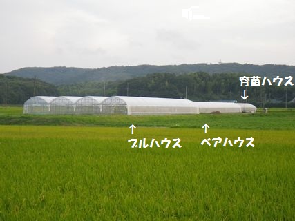 [ʐ^/2012N825_̔_̗lq]