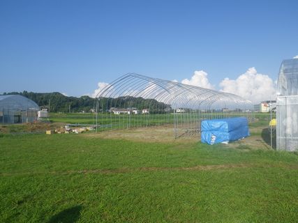[ʐ^/2012N913_̔_̗lq]