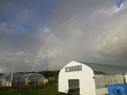 [ʐ^/2012N918_̔_̗lq]