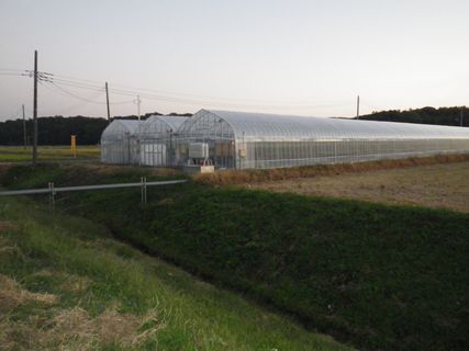 [ʐ^/2012N1021_̔_̗lq]