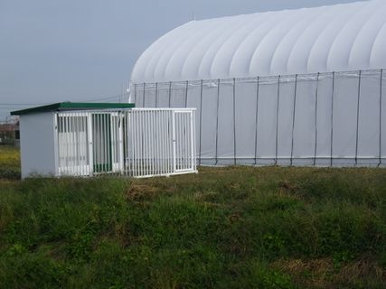 [ʐ^/2012N1028_̔_̗lq]
