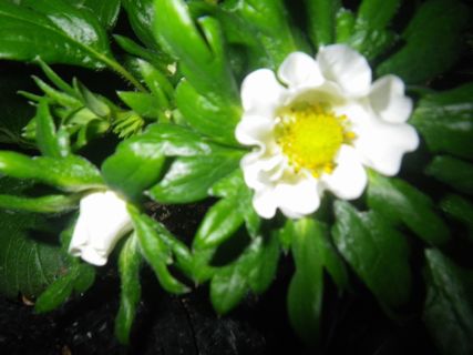 [ʐ^/2014N119_̔_̗lq]