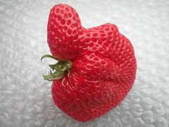 mʐ^ngˁIȟ`gق؂̑嗱