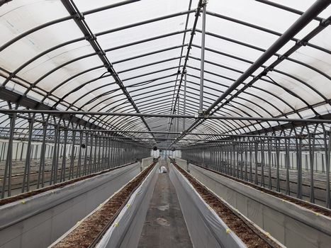 [ʐ^/2025N615_̔_̗lq]