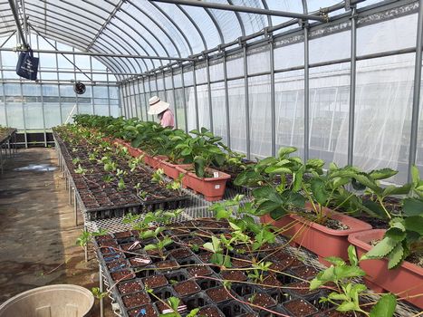 [ʐ^/2025N616_̔_̗lq]