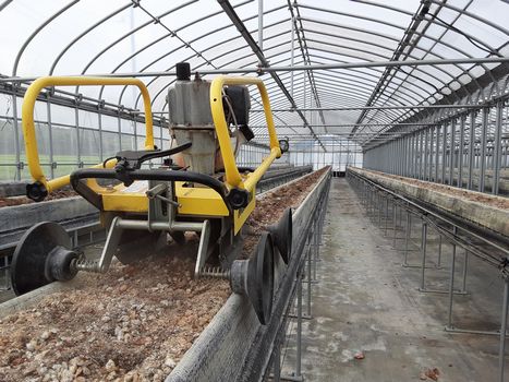 [ʐ^/2025N718_̔_̗lq]