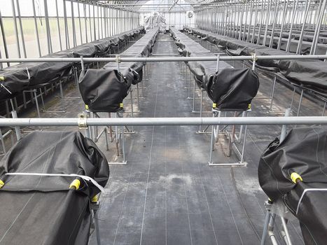 [ʐ^/2025N814_̔_̗lq]