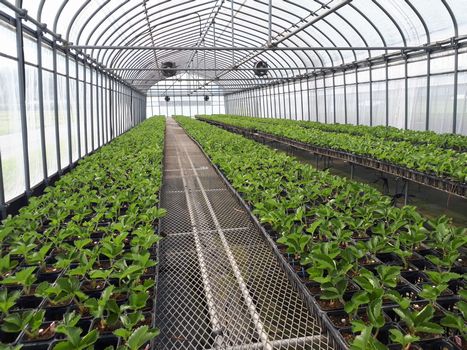 [ʐ^/2025N910_̔_̗lq]