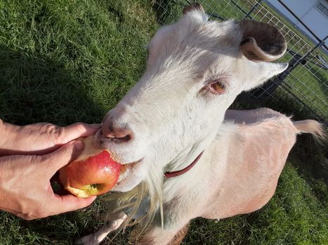 [ʐ^/2025N108_̔_̗lq]