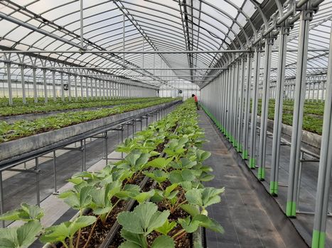 [ʐ^/2025N1019_̔_̗lq]